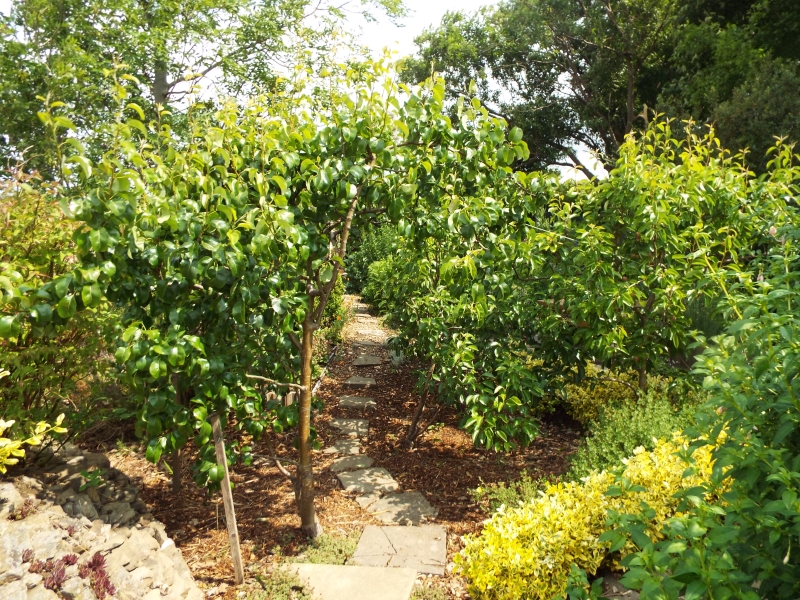 148 Healey Wood Road